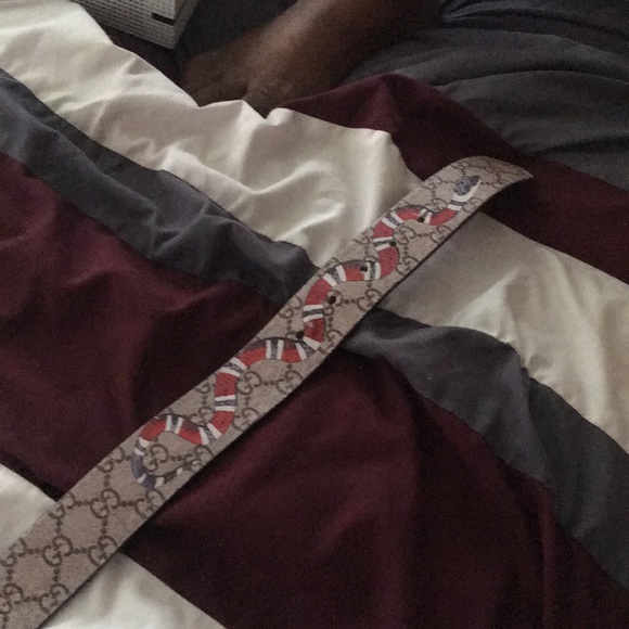 Gucci belt - Picture 3 of 3